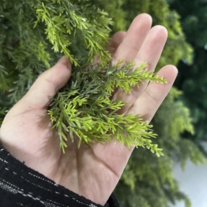 Sapins et épiniers artificiels de Noël de qualité supérieure en PE, de grande taille, denses et de diverses tailles, pour la décoration de Noël - Product Image 2