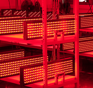 บริการ Wakelife OEM ODM รับผลิตตามแบบ พร้อมบริการติดโลโก้ บรรจุภัณฑ์ สี และขนาดตามสั่ง - Product Image 3