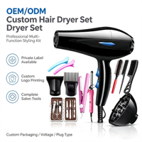 Ensemble de sèche-cheveux de voyage professionnel, compact en plastique, moteur DC, 3 vitesses, haute vitesse, électrique, pour salon, hôtel, usage domestique, ionique, 800W, ODM