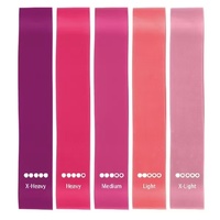 Bandes de Résistance pour Exercices, Lot de 5 Mini Boucles en TPE pour Entraînement à Domicile, Vente en Gros, Fournisseur OEM Personnalisé