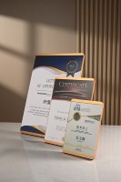 La plaque d'immatriculation d'entreprise peut être remplacée à l'intérieur de la page plaque d'affichage personnalisée plaque d'identification de bijoux avant plaque personnalisée