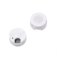 Mini boîte vocale enregistrable personnalisée avec cordon, enregistreur vocal pour peluches et jouets en peluche, poupées