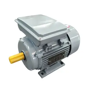 ML series aluminum housing IP55 220v ac single phase 2hp electric motor