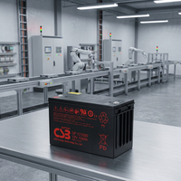 Batterie solaire portable AGM gel à cycle profond scellée VRLA en gros 100ah 12v Batteries CSB