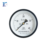 Manomètre DACHENG Y-100Z 100 mm à connexion axiale en cuivre, boîtier en acier au carbone, protection IP54, 0-600 bars