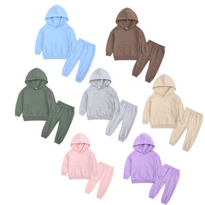 Conjuntos de Ropa Deportiva para Niños RTS, Chándal con Capucha, Trajes Deportivos Lisos en Color Morandi, Ropa Infantil Lista para Enviar - Product Image 1