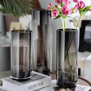 Jarrón de Vidrio Gris Recto, Moderno y Minimalista, para Mesa, Jarrón Hidropónico para Flores - Product Image 1