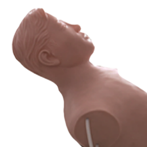 Mannequin d'entraînement à la ponction thoracique ADA CK818/CK819 en PVC médical pour la cavité thoracique, ponction d'abcès hépatique, simulation de ponction thoracique - Product Image 6