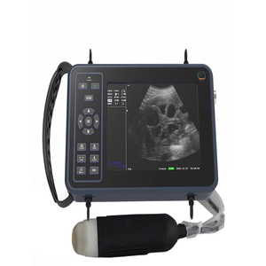 Penjualan terlaris Mesin B Scan <span class=keywords><strong>Ultrasound</strong></span> portabel perangkat pemantauan dokter hewan untuk ujian <span class=keywords><strong>Ultrasound</strong></span> dokter hewan portabel - Product Image 1