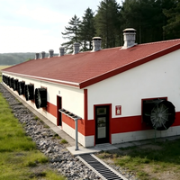 Granja Avícola Prefabricada con Diseño Moderno, Totalmente Automatizada y Ventilada con Túneles