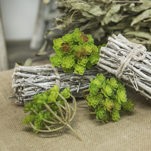 Plantes Décoratives Artificielles : Plantes Succulentes à 24 Branches, Graines Immortelles pour Mariages, Fêtes, Décoration de Jardin et Vente en Gros - Product Image 3