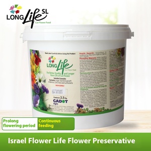 Israel Flower Life floristería de barril conservantes especiales de flores frescas - Product Image 4
