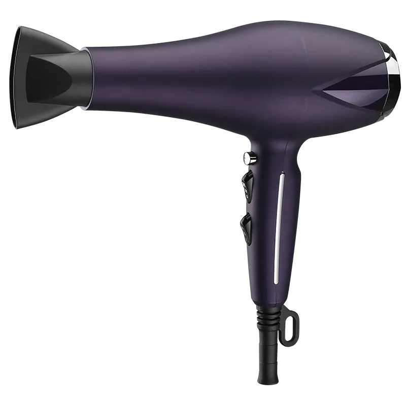 Strong wind power hair salon stylist professional hair dryer ionic technology hair dryer personalized label color customization