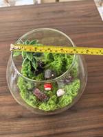 Terrarium en verre borosilicate fait main 20*18cm pour micro-paysage, décoration de mousse, maison, bureau, bureau à domicile