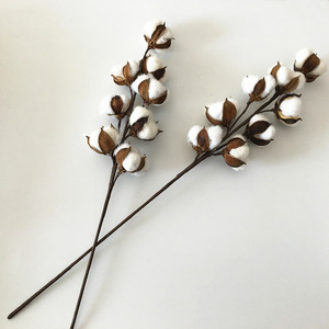 Wholesale 8 Heads Long <strong>Stem</strong> Dried Flowers Artificial <strong>Cotton</strong> for Wedding Home Decoration - Product Image 4