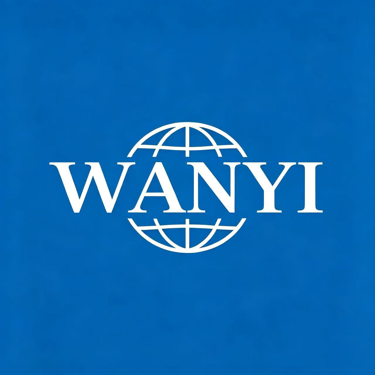 Shenzhen Wanyi Trading Co., Ltd. logo