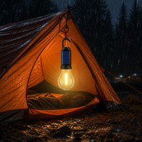 Lanterne solaire LED pour le camping, étanche, lumière d'ambiance pour barbecue, rechargeable par USB, boîtier en ABS