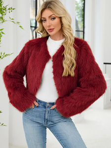 Nuevo diseño moderno de moda de talla grande mullido otoño cálido moda Faux invierno señoras abrigo de invierno <span class=keywords><strong>chaqueta</strong></span> de piel para <span class=keywords><strong>mujer</strong></span> - Product Image 3