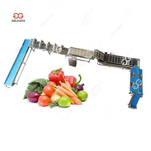 Trade Assurance Supplier Leafy Vegetables Bubble Washer Carrot Brush Washing Machine Fruit Cleaning Drying Processing Line