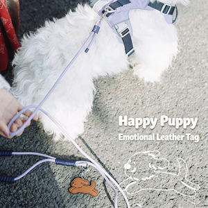 Correa de Perro Hecha a Mano de Lujo, Serie Ultraligera |   Correa de Tracción para Mascotas Moderna y Resistente para Paseos Diarios - Product Image 5