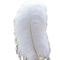 40-45cm Plume naturelle Plumes d'autruche pour fête Carnaval Maison Mariage Vase de Noël Décoration de vacances DIY Craft Floral