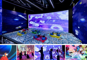 Projection murale interactive, jeux d'animaux interactifs, capteur tactile laser, projection interactive, réponse rapide - Product Image 5