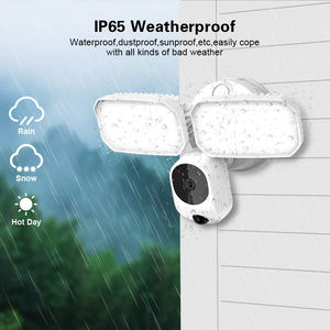 HD-Sicherheitskamera mit Dual-LED, Zwei-Wege-Audio und Bewegungssensor, Smart Floodlight Tuya Sicherheitskamera - Product Image 2