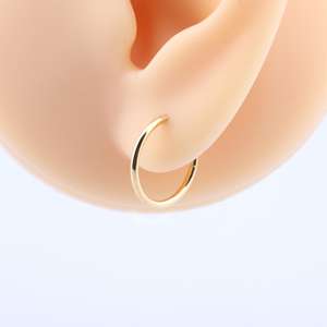 Anillo <span class=keywords><strong>de</strong></span> <span class=keywords><strong>titanio</strong></span> con segmento <span class=keywords><strong>de</strong></span> bisagras para <span class=keywords><strong>nariz</strong></span>, diseño <span class=keywords><strong>de</strong></span> aro dorado para <span class=keywords><strong>nariz</strong></span>, <span class=keywords><strong>Piercing</strong></span> corporal a granel - Product Image 4