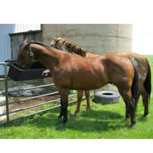 Nouveaux plateaux d'alimentation <span class=keywords><strong>pour</strong></span> moutons <span class=keywords><strong>bac</strong></span> à bétail mangeoire <span class=keywords><strong>pour</strong></span> chèvres équipement de ferme de vache mangeoires <span class=keywords><strong>pour</strong></span> animaux laitiers bétail accessoires stables en plastique - Product Image 5