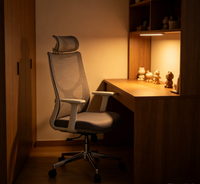Chaises de bureau réglables avec support lombaire, dossier solide et coussin d'assise en nylon pour le bureau à domicile