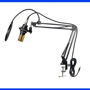 Microphone d'enregistrement professionnel <span class=keywords><strong>pour</strong></span> diffusion en direct sur YouTube, microphone à condensateur, <span class=keywords><strong>carte</strong></span> <span class=keywords><strong>son</strong></span> avec support de bras, kit de filtre anti-pop - Product Image 3