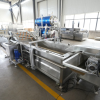 QD Industriële Bubbelwasmachine RVS Fruit- en Groentewasmachine voor Voedselverwerkingslijn