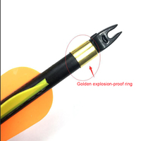 Flèches en fibre de verre OD 8 mm avec plumes en plastique pour pointes de chasse amovibles en acier inoxydable pour arc à poulies de 30 à 80 livres
