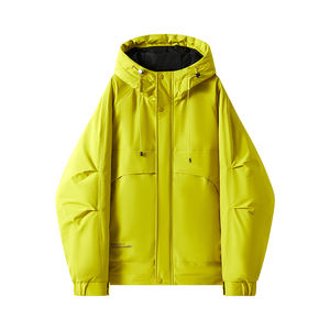 Veste à capuche personnalisée avec logo, nouvelle collection printemps-automne, tendance décontractée Joker, pour hommes et femmes, style cool et populaire. - Product Image 2