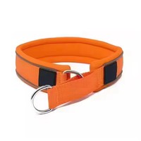 Prix de gros Discount couleur collier de chien en nylon doux collier de chien tactique utilisé pour l'exercice quotidien et la formation