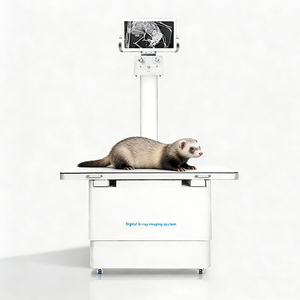 Máquina de Rayos X <span class=keywords><strong>Veterinaria</strong></span> para Perros y Gatos con Detector de Panel Plano y Software de Examen, Certificación CE/ISO, 110V/220V, Uso en Clínicas Veterinarias - Product Image 1