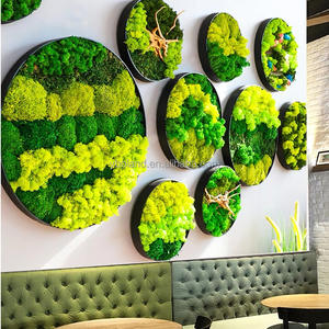 Naturel vert doux renne art mousse en vrac boîte mur encadré décor feuille décorative plante naturelle mur préservé mousse pour la décoration - Product Image 6