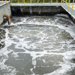 مسحوق إنزيم البروتياز القلوي لتربية الأحياء المائية - Product Image 4