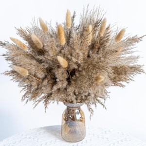 Bouquet de fleurs séchées d'herbe de la pampa - Petite herbe de la pampa et herbe de queue de lapin pour décoration de mariage, de remise de diplôme et de la maison - Product Image 1