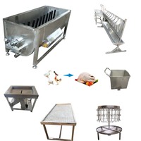 Équipement d'abattage de volailles vivantes (100-500 poulets) – Machines de découpe et d'abattage d'oiseaux