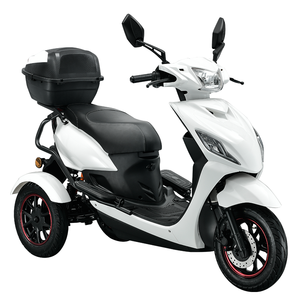 Triciclo Eléctrico de 3 Ruedas Personalizado de Almacén de la UE, Motocicleta para Personas Mayores y Discapacitadas, Motor sin Escobillas de 1000W, Batería de Litio, Impermeable - Product Image 1