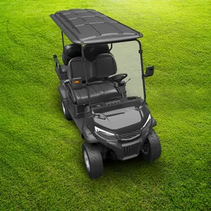 Factory Direct Sales New Products Golf Cart 2+2 Seats Golf Cart Battery 48v PREDATOR H2+2 Cheap Golf Cart