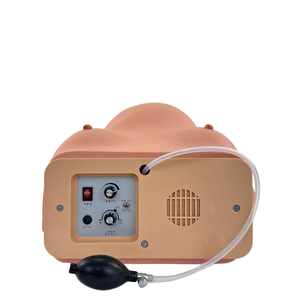 Obstetrik eğitim için tıbbi Model beyin bilgisayarlı hamile kadın muayene modeli - Product Image 3