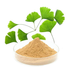 Best Quality Factory Supply Bulk Organic <strong>Ginkgo</strong> Biloba <strong>Extract</strong> on Sale - Product Image 6