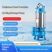 Pompe submersible pour eaux usées en acier inoxydable, certification CE, débit de 100-500 L/min, garantie de 2 ans, contrôle entièrement automatique pour