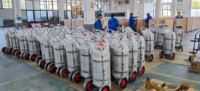 Système d'extinction d'incendie rapide et automatique pour batteries LiFePO4 en acier portable, avec sécurité du pack batterie