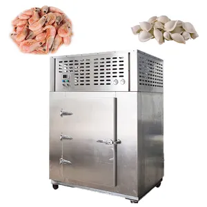 Factory Customized Quick IQF Blast Tunnel Freezer for Shrimp/Seafood/Meat/Fruit/Vegetable