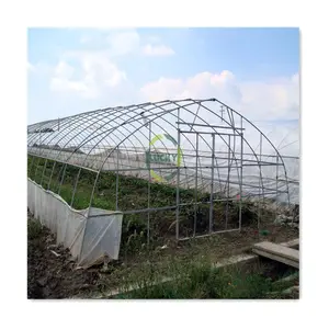 Agricultural Steel Frame Structure Tunnel Solar Greenhouses For Seed Planting