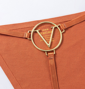 Nouvelles tangas pour femmes, sexy, <span class=keywords><strong>logo</strong></span> métallique, strings taille basse, <span class=keywords><strong>logo</strong></span> personnalisé, sous-vêtements à dos en T, strings pour femmes, sous-vêtements féminins - Product Image 5