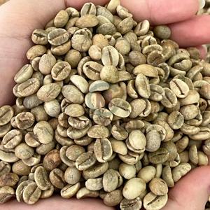 Para tostar y bebidas de alta calidad Vietnam Arabica Robusta granos de café verde orgánico 100 por ciento puro - Product Image 6